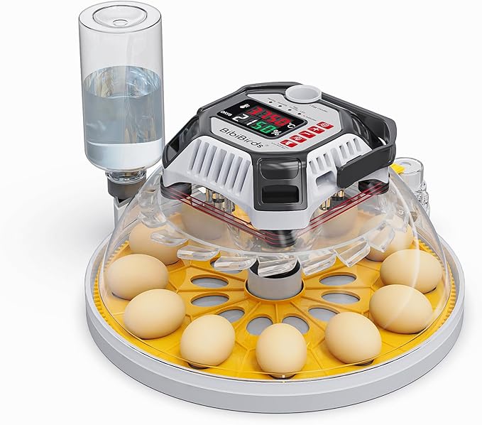 Incubators for Hatching Eggs with Automatic Humidity - MS12,Egg Incubator with Automatic Egg Turning and Digital Humidity Control to Hatch Chicken, Quail, Duck - Image 2