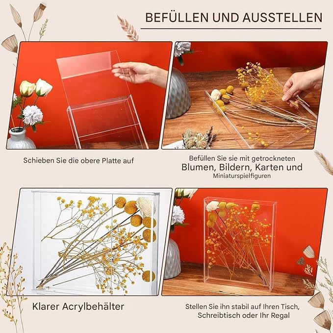 Acrylic Storage Box, Dried Flowers Display Case, Clear, Multifunctional Table Holder for Souvenirs, Trading Cards, Postcards, Entrance Tickets - Image 5
