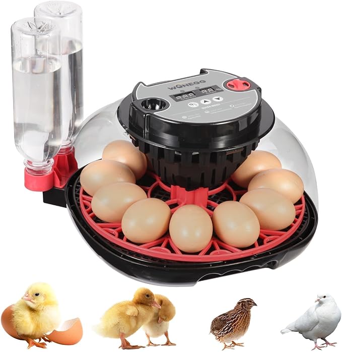 Simple Plus 12-Egg Incubator for Beginners, Full-Stage Adaptive Humidity (Dual-Bottle) & Temp Control, Auto Egg Turn, Real-Time Display, Candler for Hatching Poultry Eggs by ZEMIROCHARGE