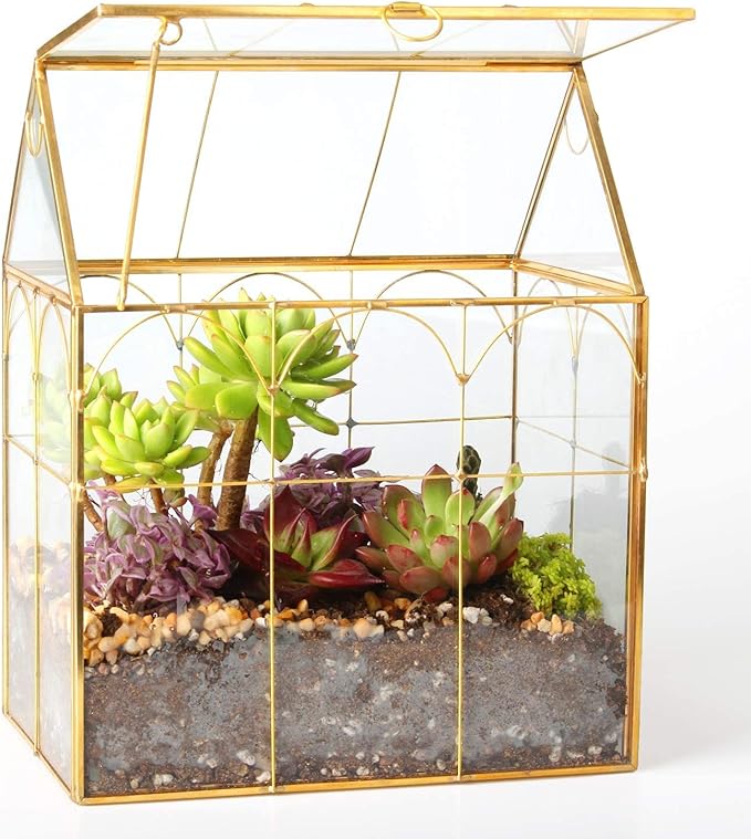 Glass Geometric Plant Terrarium,Succulent & Air Planter for Home Garden Office Decoration (Gold House) by ELEGANTLIFE