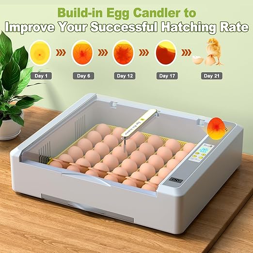 36 Eggs Incubator for Hatching Chicken/Goose/Quail/Duck/Turkey Eggs, 360° View Incubator with Automatic Egg Turning/Humidity Control/Low Humidity Alarm/Adjustable Tray, for Beginner/Farm/Teaching/Home - Image 5