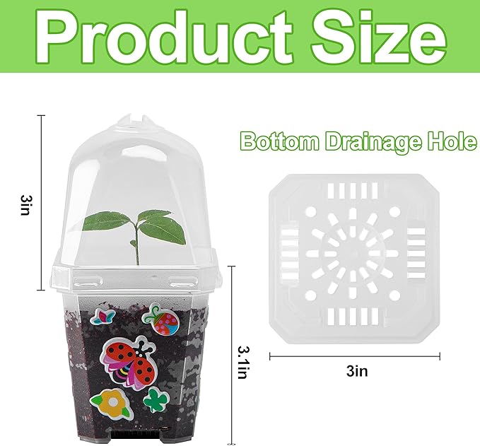 EBaokuup 10 Pack Clear Plant Nursery Pots with Humidity Dome-3" Reusable Plastic Gardening Pot with Printed Labels-Small Seed Starting Pots for Seedlings Vegetables Succulents Cuttings - Image 2