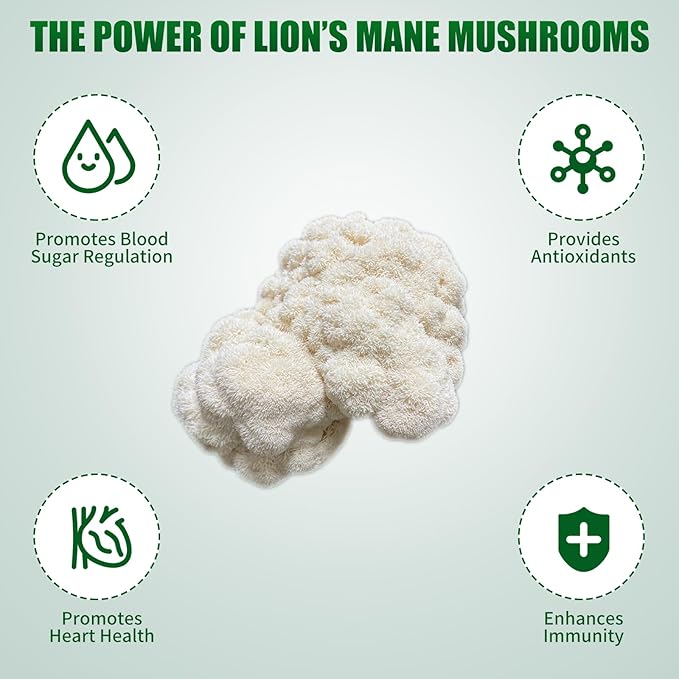Large Organic Lion's Mane Mushroom Grow Kit with Spray & Accessories, Fresh Edible Mushroom Growing Kit Double-Sided Growable, USDA Certified, Non-GMO, Beginner Friendly, Indoor, Gardening Gift, USA - Image 7