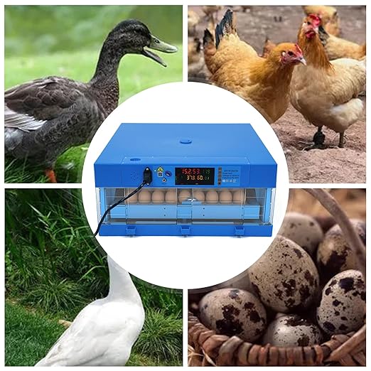 64 Hatching Eggs Incubator Digital Automatic Incubator, Temperature Humidity Control, 360° Automatic Egg Turner, Function Panel Display for Hatching Chicken Duck Goose Pigeon Quail - Image 8