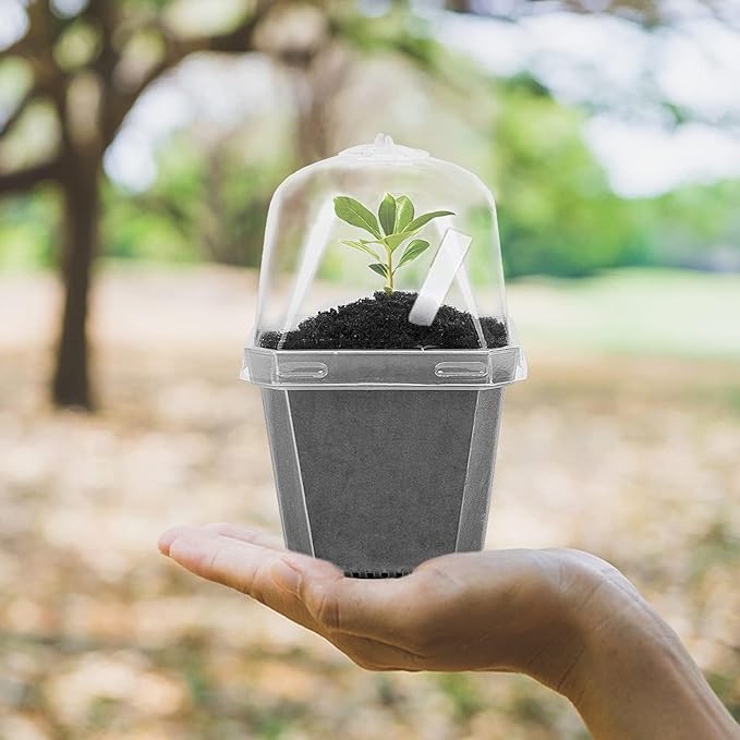 EBaokuup 50 Pcs Clear Plant Nursery Pots with Humidity Dome-3" Reusable Plastic Gardening Pot with Labels-Small Seed Starting Pots for Seedlings,Vegetables,Succulents,Cuttings - Image 5