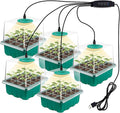 payanwin 6-Pack Seed Starter Tray Kit with Grow Light, Adjustable Brightness & Timing Controller, Seedling Trays with Humidity Domes & Heightened Lids, Thicken Design, Ideal for Indoor Plant Growth by Payanwinarecommittedtomakinglifeeasierforeveryone