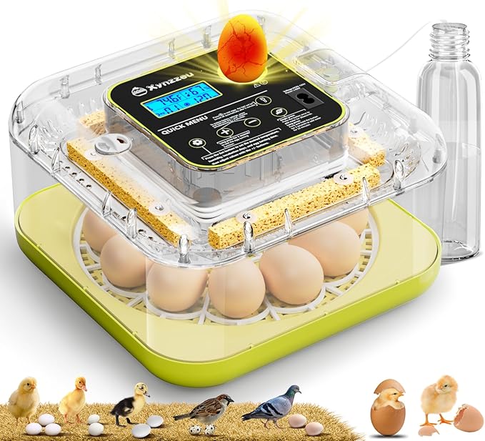 Egg Incubators for Hatching Eggs, 12 Egg Incubator with Automatic Egg Turning and Humidity Control, Incubator for Chicken/Quail/Duck Eggs with Temperature Control/LED Egg Candler, 360 Degree View by Unknown