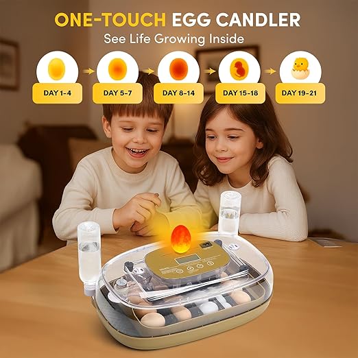 HIRALIY Incubator for Hatching Eggs, 48 Quail Capacity, Chicken & Quail Egg Incubator with Automatic Egg Turning and Humidity Control, 360° Viewing for Home, Farm, Classroom - Image 5