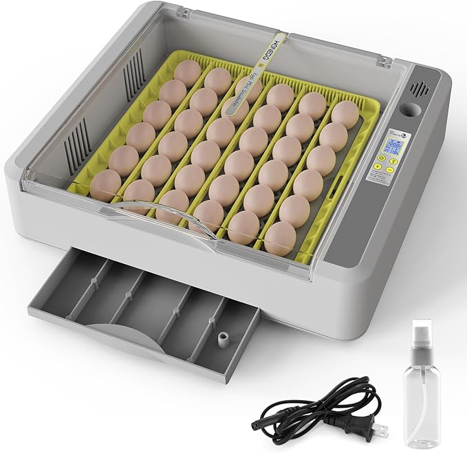 Egg Incubator for Hatching Chicks, 36 Eggs Automatic Turner with Temperature & Humidity Control, Multifunctional Ultra-Clear Panoramic View with Hatch Days & Egg Candler for Chicken, Duck, Goose, Bird - Image 9