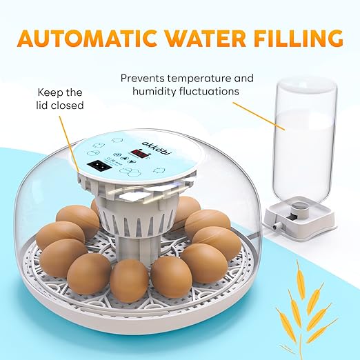M12 Incubators for Hatching Eggs - Egg Incubator with Automatic Turner and Humidity Control - 12/24 Eggs - Incubadora de Huevos de Gallina - Easy to Use and Clean - 360° View - Blue - Image 3