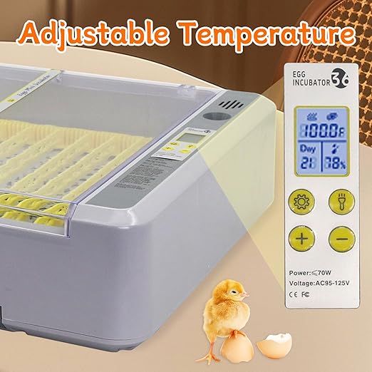 Automatic Egg Incubator, Automatic Egg Turner with Thermometer Control & Humidity Control, Egg Candler, 360°View,Incubator for Hatching Chicks-36 Egg Capacity - Image 4