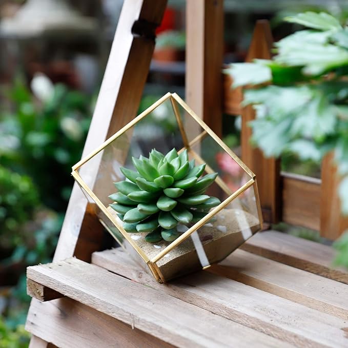 ELEGANTLIFE Glass Geometric Plant Terrarium,Succulent & Air Planter for Home Garden Office Decoration(Gold Cubic Set of 2) - Image 6