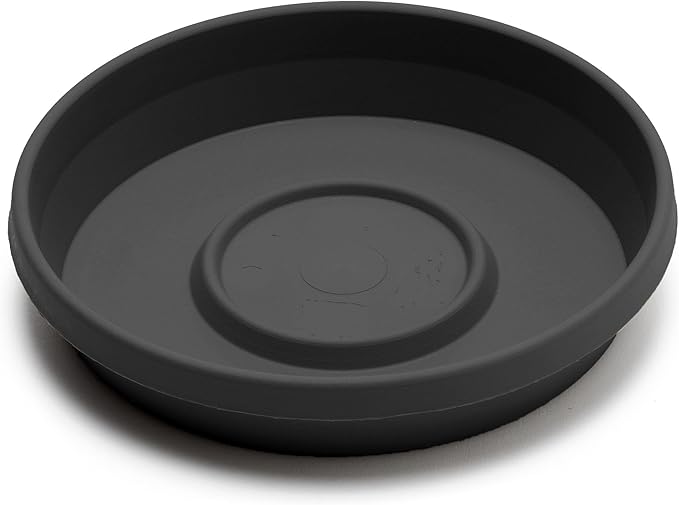 Bloem Terra Resin Saucer Tray: 4.75" Bottom Width - Black - Matte, Durable, Ribbed Bottom, Indoor and Outdoor, Fits 6" Terra Pots - Image 3