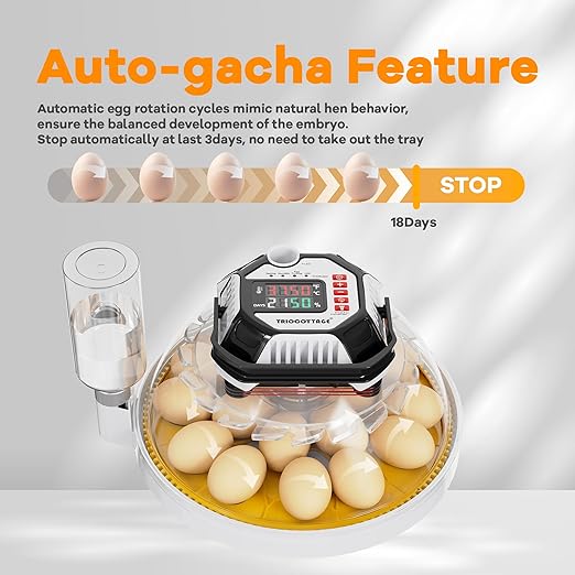 Incubators for Hatching Eggs 12-18 Egg Incubator with Automatic Egg Turning and Humidity Control,Egg Candler,Auto Water Replenishment,for Chicken Eggs and Quail Egg M12H (Yellow) - Image 5