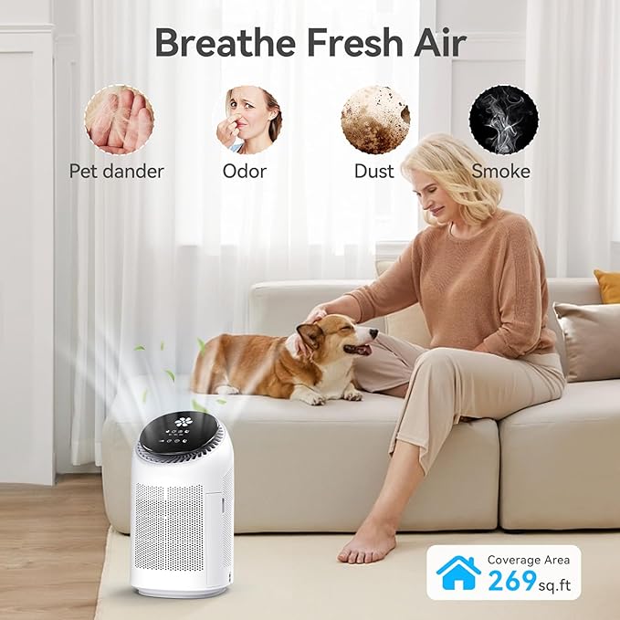 Dehumidifier with Purification Function for Home, Small Dehumidifier for Bedroom with Drain Hose, HEPA Filter & Auto-Off, Ultra-Quiet Sleep Mode, Timer, Ideal for Bedroom, Bathroom, Closet, RV - Image 3