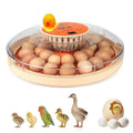 2nd Gen 30 Egg Incubator, Wide-Range Humidity with Manual Water Fill, Stable Temp Control, Dual-Size Egg Slots, Auto Egg Turning, Candler, Real-Time Display for Hatching Poultry Eggs by Unknown