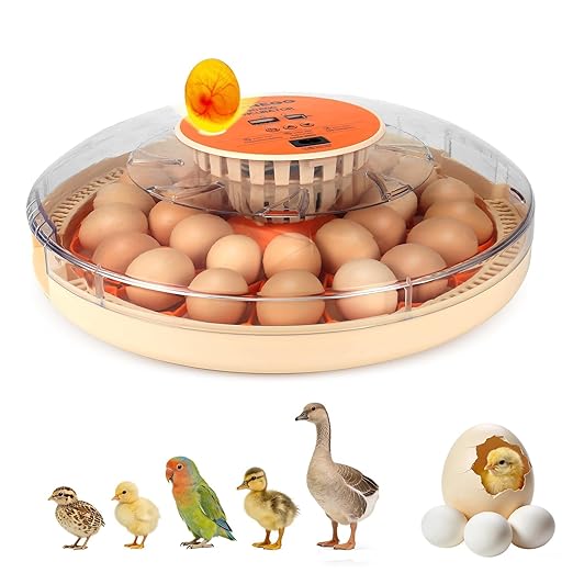 2nd Gen 30 Egg Incubator, Wide-Range Humidity with Manual Water Fill, Stable Temp Control, Dual-Size Egg Slots, Auto Egg Turning, Candler, Real-Time Display for Hatching Poultry Eggs by Unknown
