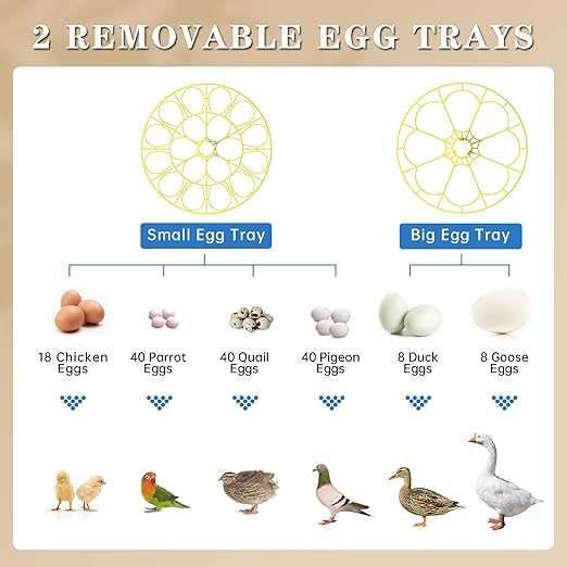 Incubators for Hatching Eggs, 18-Egg Incubator with Automatic Egg Turning and Humidity Control, Egg Candler, External Water Filling, Incubator for Chicken Eggs - Image 3