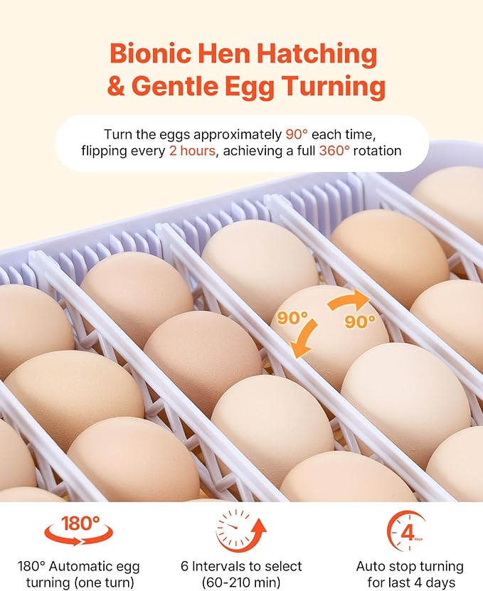 VEVOR 48 Egg Incubator, Automatic Egg Turner with LED Candler, Temperature Display & Auto Humidity Control, 360° View Clear Window, Poultry Eggs Incubator for Hatching Chicks Ducks Goose Quail - Image 4