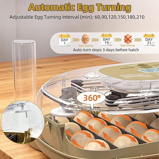 24 Incubators for Hatching Eggs, Egg Incubator with Humidity Control & Digital Temperature, Automatic Egg Turner, Hatch Day, Auto Water Refill, 360°Viewing for Chicken, Duck, Quail, Duck, Goose - Image 5