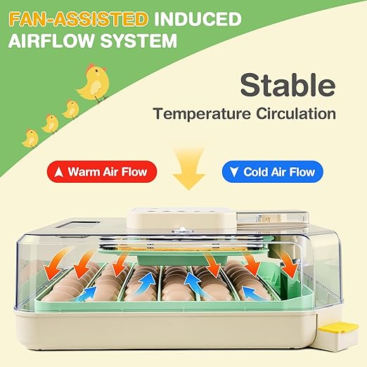 Sailnovo 48 Egg Incubator for Hatching Eggs with Precise Temp & Humidity Control,Auto Egg Turning, 360°Viewing, Egg Candler,Incubator for Chicken Eggs/Duck/Quail/Turkey,Ideal for Farm/School/Lab,Green - Image 3