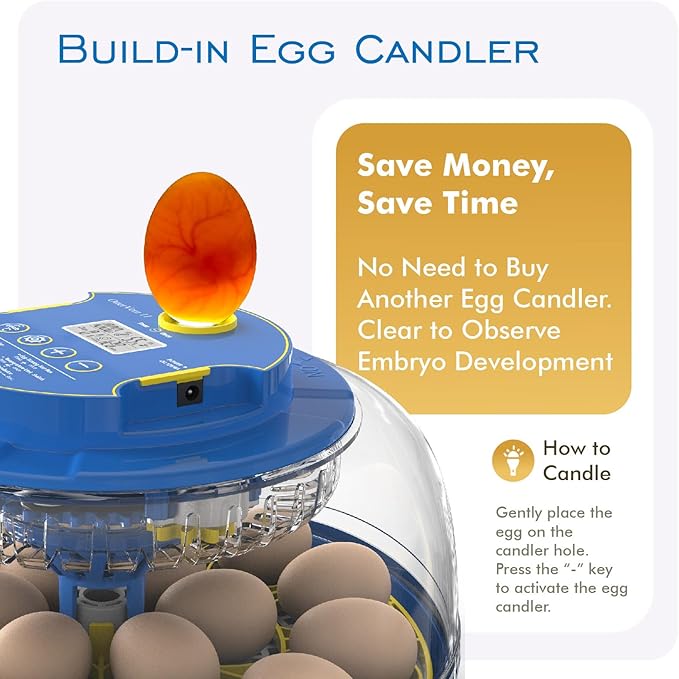 OtterVerz 11 Egg Incubators for Hatching 18-36 Chicken/Quail/Turkey Eggs, 360° View Poultry Incubator with Automatic Egg Turning and Humidity Control, Suitable for Farm, Classroom, Home - Image 4