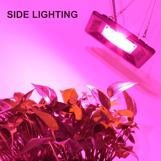 Waterproof 100W LED Grow Light Full Spectrum, New Technology COB LED Grow Light, Natural Heat Dissipation Without Noise, Suitable for Plants All Growing Stage Indoor or Outdoor. - Image 6