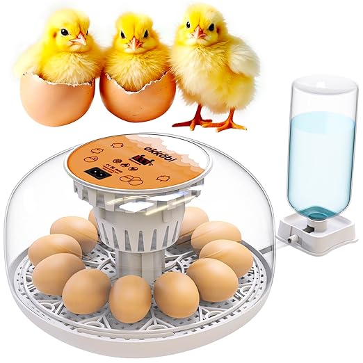 Okkobi M12 Egg Incubator with Automatic Turner and Humidity Control - 12/24 Eggs, 360° View, Easy to Use and Clean - Incubadora de Huevos de Gallina - Made for US - White & Orange by OKK%C3%96BI