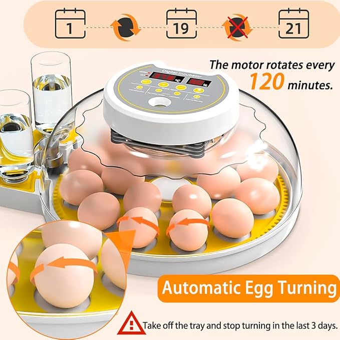 18/60 Incubator for Hatching Eggs, Egg Incubators with Humidity Display, Egg Candler, Automatic Egg Turner, Poultry Egg Incubator for Hatching Chicken Duck Goose Bird Quails- Yellow - Image 4