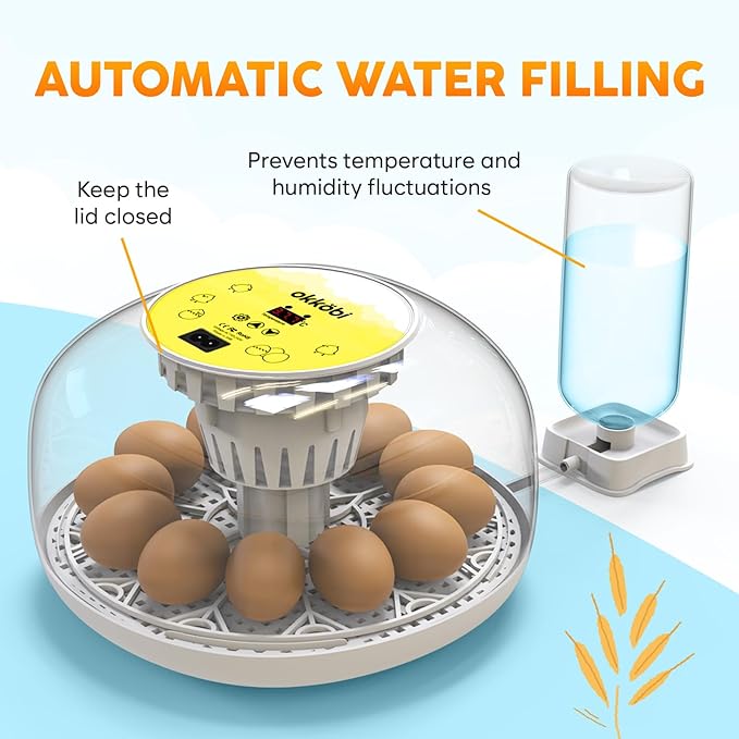 Okkobi M12 Egg Incubator with Automatic Turner and Humidity Control - 12/24 Eggs, 360° View, Easy to Use and Clean - Incubadora de Huevos de Gallina - Incubators for Hatching - White & Yellow - Image 3
