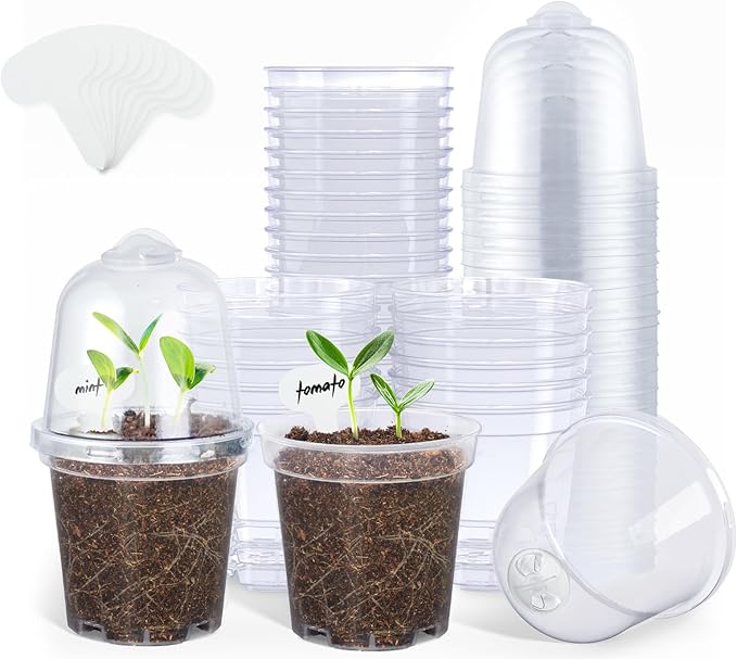 homenote Clear Nursery Pots for Plants,3 Inch Plant Pot for Planting with Humidity Domes Plastic Seedling with Drainage Holes Seed Starter Flower High Transparency (30 Pack) by HOMENOTE