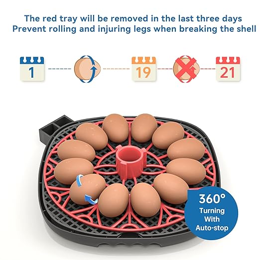 12-24 Egg Incubator with Humidity Display, Egg Candler, Automatic Egg Turner, for Hatching Chickens Duck Quail Parrot - Image 4