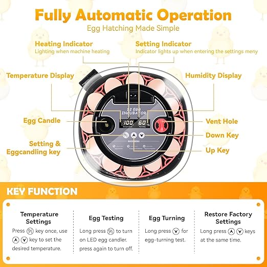 Egg incubators for Hatching Eggs, Automatic Egg Turning 12-24 Poultry Incubator with Temperature Control,Automatic Water Adding,℉ Display,360° View for Hatching Chickens, Duck,Quail,Goose Eggs (M12H) - Image 5