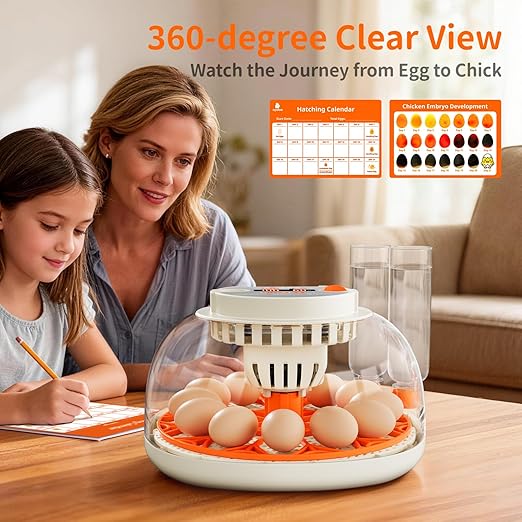 Egg Incubator with Temperature and Humidity Control, Automatic Egg Turning, Egg Candler, External Water Bottle, Adjustable Air Vent, 360° Clear View, for Chicken, Duck & Quail Eggs, APDOE HatchPro 12 - Image 6