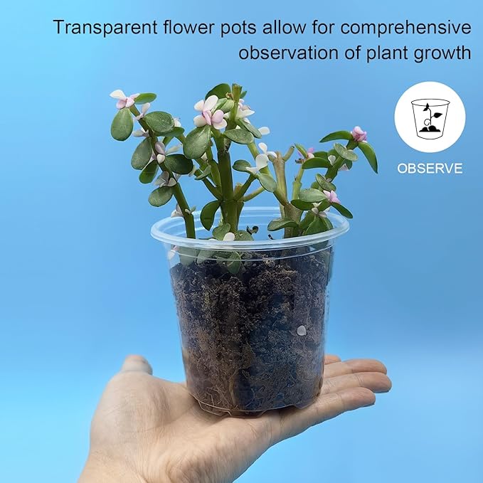 50p 3.5" Clear Nursery Pots with 4p Trays and 2p Adjustable LED Grow Lights – Transparent Plant Pots with Drainage Holes, Complete Seed Starter Kit with 5" Tall Humidity Dome for Plant Propagation - Image 3