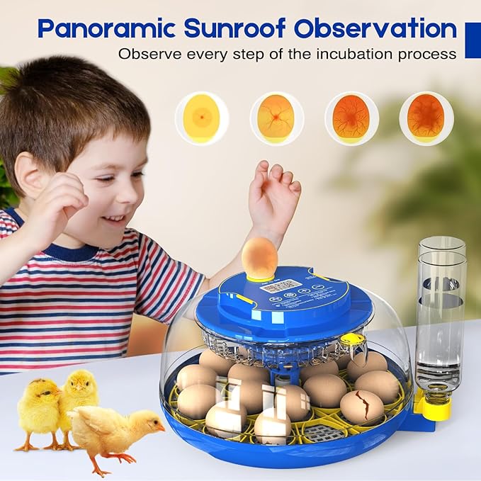 Egg Incubator for Hatching Chicks, 18 Eggs Automatic Egg Turner Multifunctional Smart Incubator 360° Clear Window with Temperature & Humidity Control, Egg Candler for Poultry Chickens Ducks Quails - Image 7