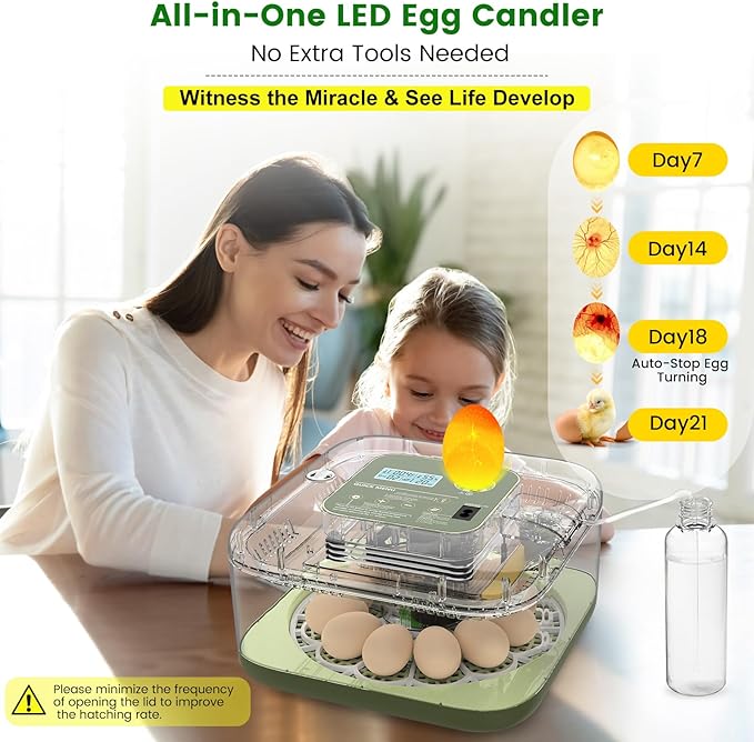 12 Egg Incubator with Automatic Turning, Auto Water Refill & Temp/Humidity Control, Plus Hatching Guide, Digital Hatcher for Chicken, Duck, Quail, Pigeon Eggs & More - Image 6