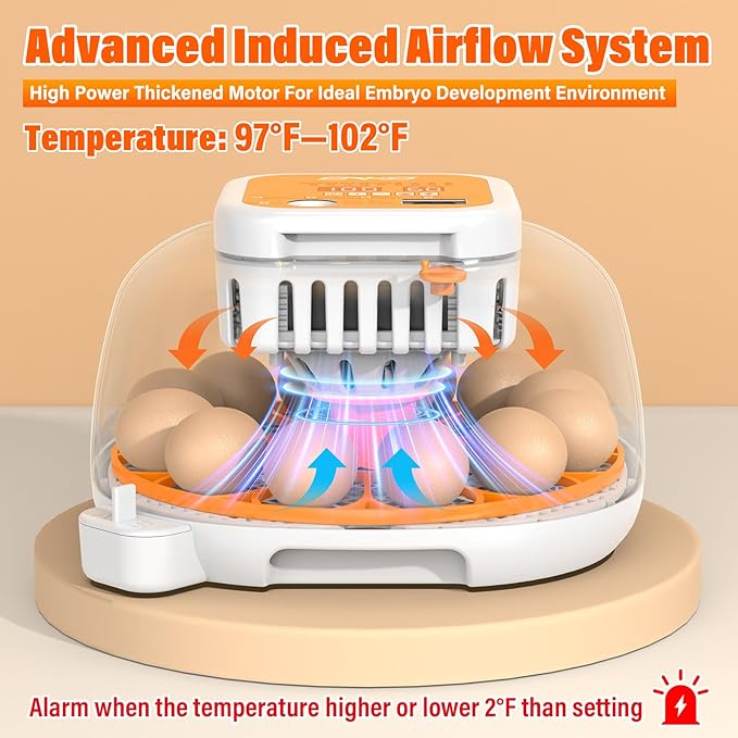 ONKO 12 Egg Incubator with Auto Temp & Humidity Control for Home, Farm, Classroom, Auto Egg Turner & Stop, External Water Refill, Air Vent, 360° Clear View, Hatching Chicken, Duck, Goose, Pigeon Eggs - Image 2