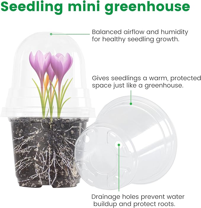 36 Packs 5/4/3.5 Inch Clear Nursery Pots with Humidity Domes, Transparent Plant Pots with Drainage Holes, Variety Pack Seedling Pots for Vegetable Propagation, Root Cutting, Seed Starting - Image 3
