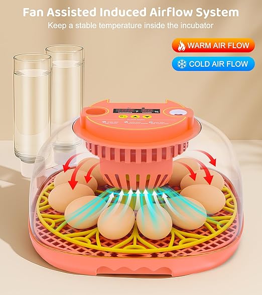 12 Egg Incubator for Hatching Eggs, Smart Temperature and Humidity Control, Automatic Egg Turning, Incubator for Hatching Chicken, Quail, Duck Eggs, 360° Clear View for Home, Classroom, Farm - Image 2