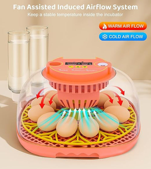12 Egg Incubator for Hatching Eggs, Smart Temperature and Humidity Control, Automatic Egg Turning, Incubator for Hatching Chicken, Quail, Duck Eggs, 360° Clear View for Home, Classroom, Farm - Image 2