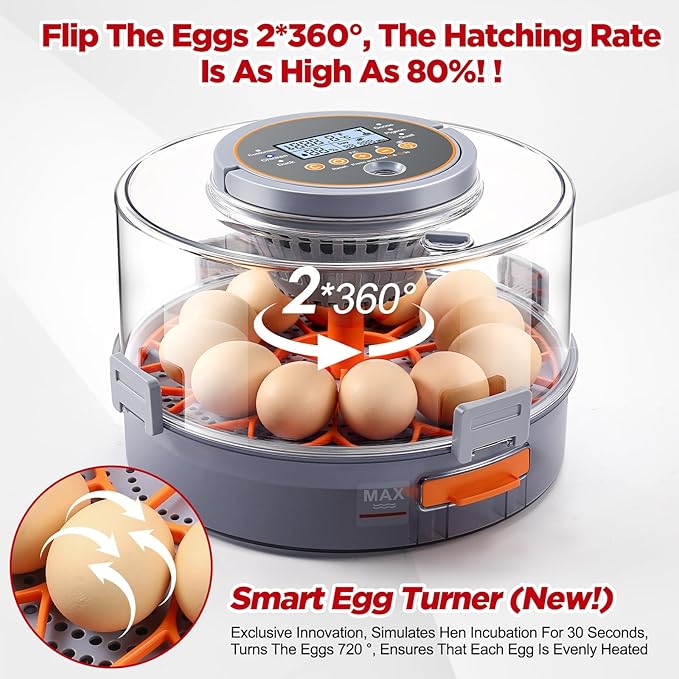 Chicken Egg Incubator 12-40 Eggs - Automatic 760° Egg Turner with Digital Display, Auto Temperature Humidity Control for Hatching Chicken Duck Quail Eggs, High Hatch Rate Poultry Incubator - Image 5