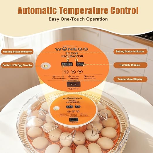 2nd Gen 30 Egg Incubator, Wide-Range Humidity with Manual Water Fill, Stable Temp Control, Dual-Size Egg Slots, Auto Egg Turning, Candler, Real-Time Display for Hatching Poultry Eggs - Image 4