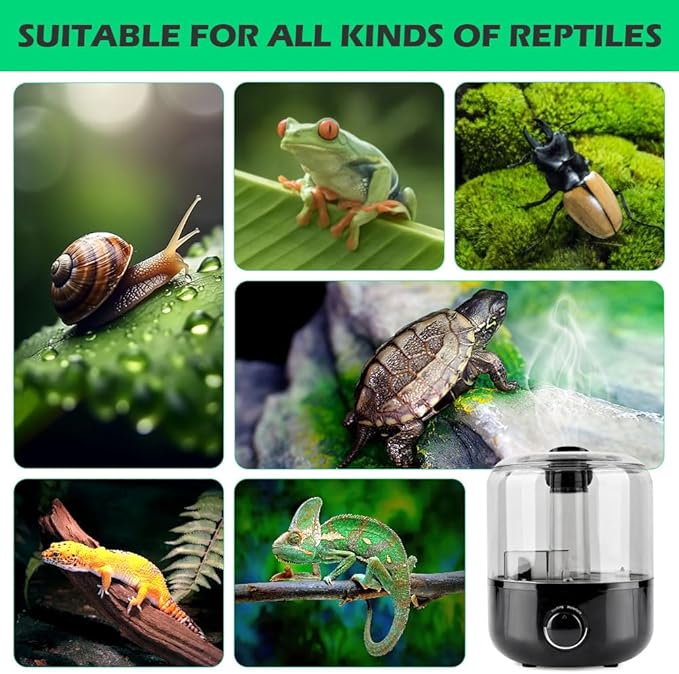 Reptile Humidifier Fogger, 3L Visible Tank Reptile Miste-r for Reptile & Amphibians Terrariums, with Hose Nozzle for Bearded Dragon/Lizard/Gecko/Snake/Tortoise/Moss - Image 8