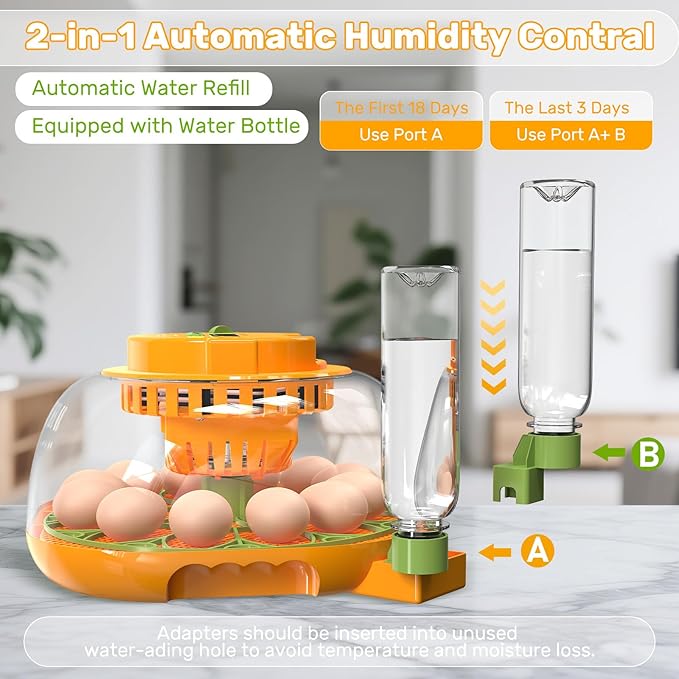 Incubators for Hatching Eggs, 12 Egg Incubator with Automatic Egg Turning and Humidity Control, Egg Candler, Auto Water Replenishment, Air Vent, for Hatching Chicken Duck Quail Goose Eggs - Image 3