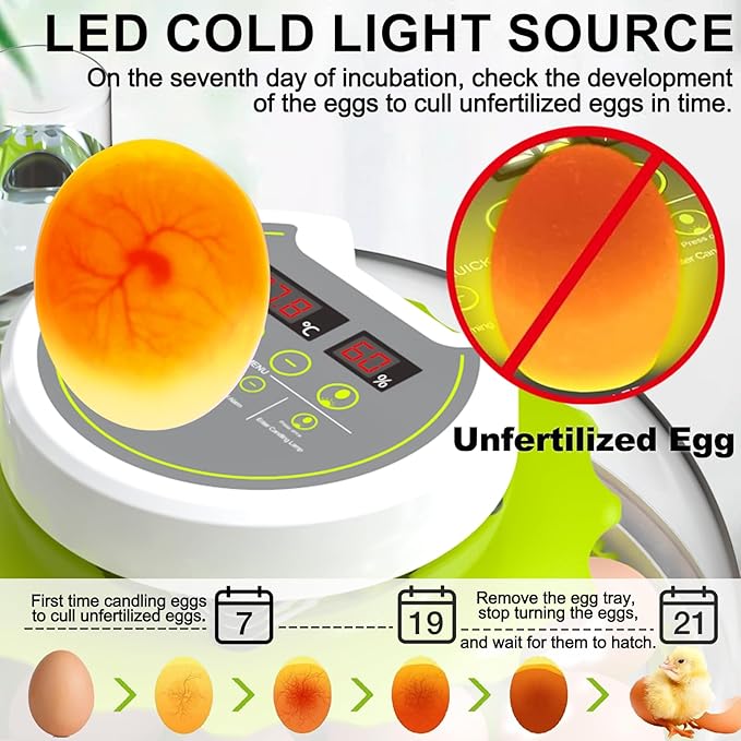18/60 Egg Incubator with Humidity Display, Incubators for Hatching Eggs, Egg Candler, Automatic Egg Turner, Poultry Egg Incubator for Hatching Chicken Duck Goose Bird Quails- Green - Image 3