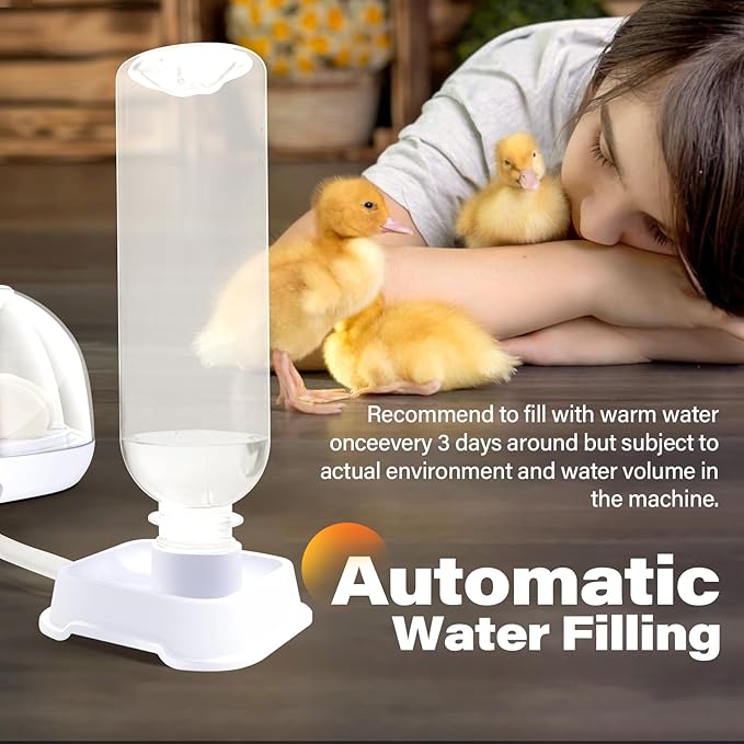 12 Egg Incubators for Hatching Eggs | with Auto Egg Turner, Temp & Humidity Control | 360° Viewing for Chicken, Duck, Quail Eggs | Ideal for Farm, School, Home - Image 5