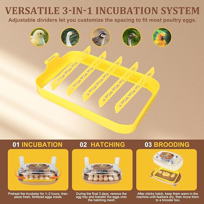 Smart 24-Egg Incubator for Hobbyists, Full-Stage Adaptive Humidity (Dual-Bottle) & Temp Control, Custom-Interval Auto Turn & Auto Stop, Preset Incubation Days, Adjustable Egg Spacing - Image 7