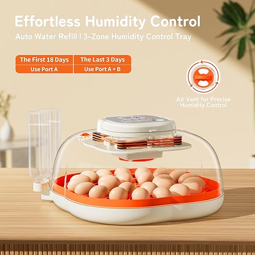 25 Egg Incubator, Extra-Large Interior with High Protective Wall, Top Carry Handle, Automatic Egg Turner, Preset Incubation Period, Auto Water Refill, for Chicken, Quail & Duck Eggs, APDOE HatchPro 25 - Image 4
