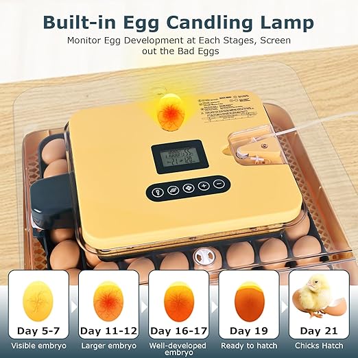 Incubators for Hatching Eggs, 56 Eggs Incubator with Egg Candler, Auto Egg Turner, Temp & Humidity Control, Hatch Day, 360° Viewing for Chicken, Duck, Quail Eggs, Ideal for Farm, School and Lab - Image 6